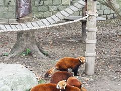 -上海野生动物园