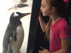 -悉尼海洋生物水族馆