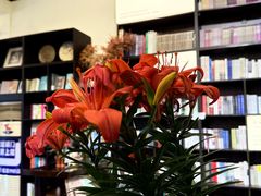 -良友书坊(安徽路店)