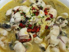 -陶然饺子城(奥体中路店)