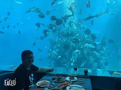 -瑞德姆美人鱼海底演艺主题餐厅(亚龙湾店)
