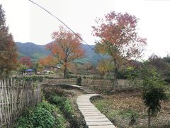 -塔川景区