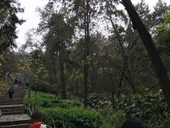 -云龙山