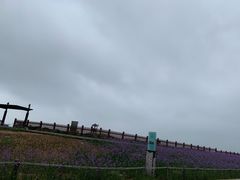 -双海酒店·海鲜家常菜(南戴河店)