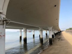 -演武大桥观景平台