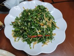-草根堂农场