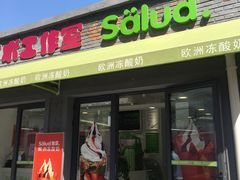 门面-Salud撒露欧洲冻酸奶(798艺术区店)