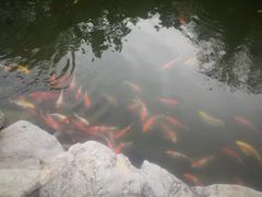 -青岛鑫江温德姆酒店