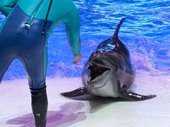 -波塞冬旅游度假区