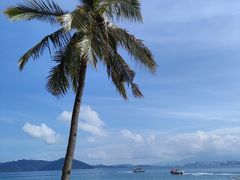 -东姑阿都拉曼海洋公园