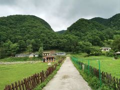 -关山草原
