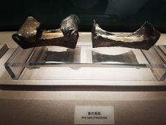 -中国钱币博物馆