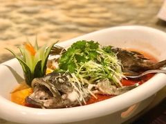 清蒸石斑鱼-安蒂娅.悦景轩中餐厅(西乡店)