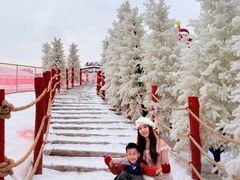 -盈香心动乐园