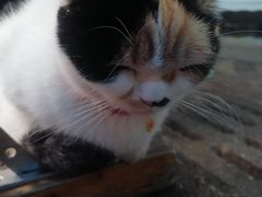 -华仔龙虾(永乐路总店)