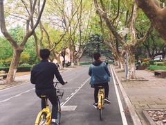 -同济大学-北苑食堂