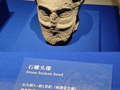 -上海博物馆(人民广场馆)