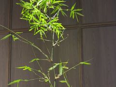 -怡情荟•海鲜青岛菜(五四广场旗舰店)