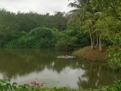 -白沙门生态公园