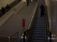 -儒圣教育外语培训