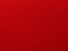 -金百合麻辣烤鱼(百货大楼店)