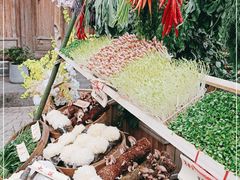 -田园印象·成都土菜院子(华阳店)