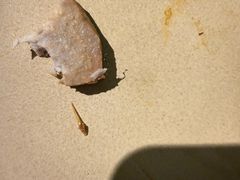 -奇滋豆味(南十四道街店)