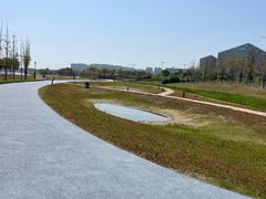 -春花秋色城市公园