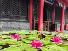 -慈恩寺