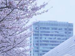 -永乐路-路侧停车场