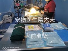 -宠颐生动物医院·心脏科·保险定点(锦阳分院)