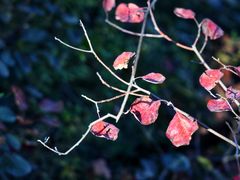 -周口店坡峰岭风景区