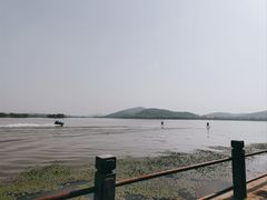 -无锡蠡湖国家湿地公园-蠡园