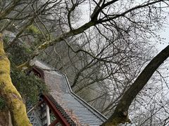 -岳麓山风景名胜区