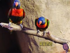 -长鹿旅游休博园