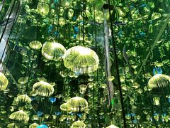 -杭州西湖星空魔幻城(星空艺术馆品牌旗舰店)