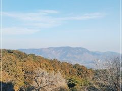 -香山公园