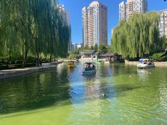 -团结湖公园