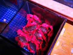 -潮中人·潮州菜(益乐路店)
