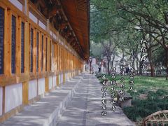 -枫桥景区