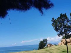 -后田海鲜餐厅(南澳香湖湾店)