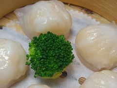 -金苑海鲜酒家(来魅力店)