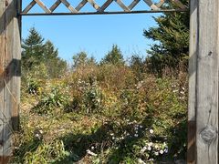 -白草畔自然风景区