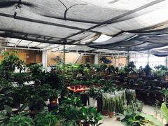 -龙大花卉苗木市场