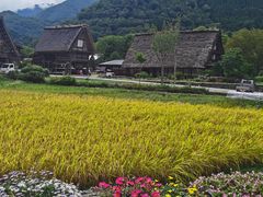 -白川乡与五箇山的合掌构造村落