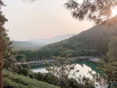 -九龙潭景区