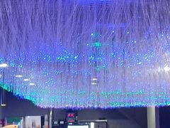 -徐记小怪兽肉蟹煲店(哈西万达金街店)