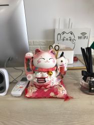 -Yukina Plus专业日式美肌