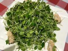 桃仁香椿苗-南来顺饭庄·清真(南菜园店)