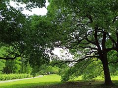 -共青国家森林公园-南大门停车场